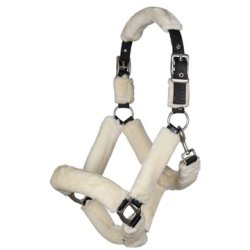 Grime Well Style med Teddy lam